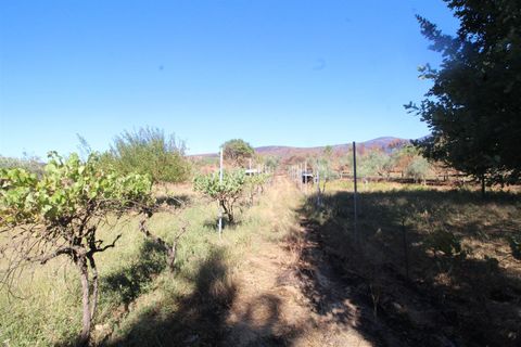 Landejendom i Covilha, Castelo Branco, Covilha - € 25.000 | Ref: 394250101 - foto 6