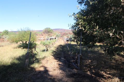 Landejendom i Covilha, Castelo Branco, Covilha - € 25.000 | Ref: 394250101 - foto 16
