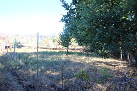 Landejendom i Covilha, Castelo Branco, Covilha - € 25.000 | Ref: 394250101 - foto 17
