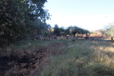 Landejendom i Covilha, Castelo Branco, Covilha - € 25.000 | Ref: 394250101 - foto 18