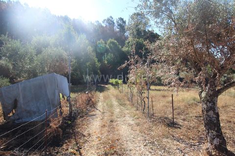 Landejendom i Covilha, Castelo Branco, Covilha - € 25.000 | Ref: 394250101 - foto 19