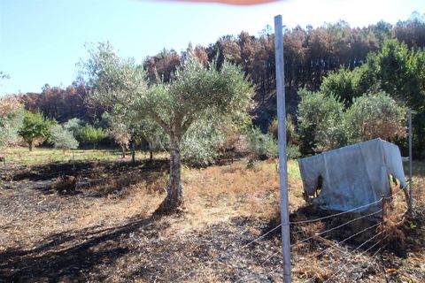 Landejendom i Covilha, Castelo Branco, Covilha - € 25.000 | Ref: 394250101 - foto 20