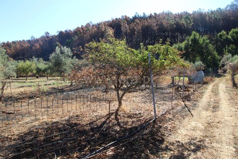 Landejendom i Covilha, Castelo Branco, Covilha - € 25.000 | Ref: 394250101 - foto 21