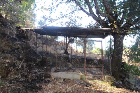 Landejendom i Covilha, Castelo Branco, Covilha - € 25.000 | Ref: 394250101 - foto 26