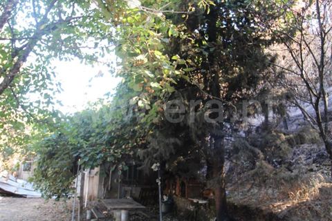 Landejendom i Covilha, Castelo Branco, Covilha - € 25.000 | Ref: 394250101 - foto 27