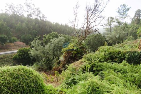 Villa a Miranda do Corvo, Coimbra, Miranda do Corvo - € 45.000 | Ref: ko2666 - foto 27