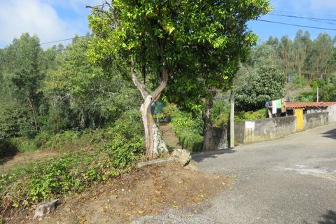 Villa a Miranda do Corvo, Coimbra, Miranda do Corvo - € 45.000 | Ref: ko2666 - foto 28