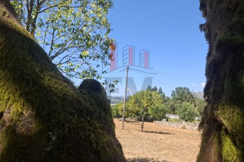 Cortijo i Arcos de Valdevez, Viana do Castelo, Arcos de Valdevez - € 420.000 | Ref: FM1107 - foto 20
