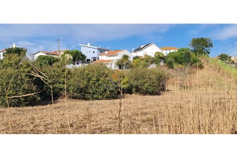 Helårsgrund i A dos Cunhados e Maceira, Lisbon, A dos Cunhados e Maceira - € 38.000 | Ref: MTL3259 - foto 8