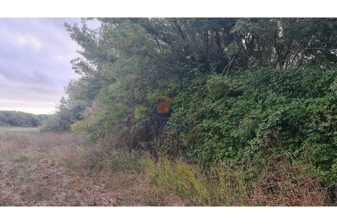 Helårsgrund i A dos Cunhados e Maceira, Lisbon, A dos Cunhados e Maceira - € 38.000 | Ref: MTL3259 - foto 15
