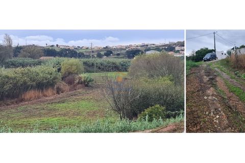 Helårsgrund i A dos Cunhados e Maceira, Lisbon, A dos Cunhados e Maceira - € 38.000 | Ref: MTL3259 - foto 6