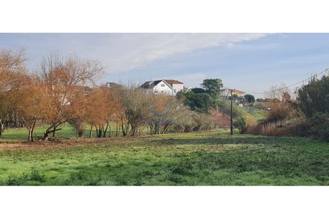 Helårsgrund i A dos Cunhados e Maceira, Lisbon, A dos Cunhados e Maceira - € 38.000 | Ref: MTL3259 - foto 3