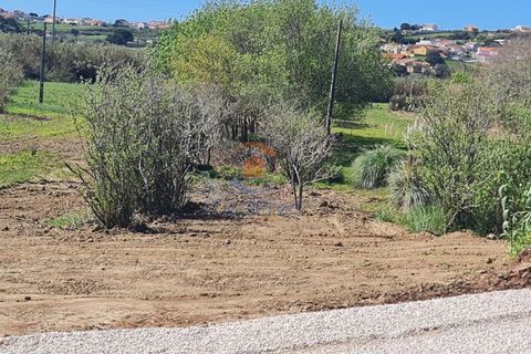 Helårsgrund i A dos Cunhados e Maceira, Lisbon, A dos Cunhados e Maceira - € 38.000 | Ref: MTL3259 - foto 5