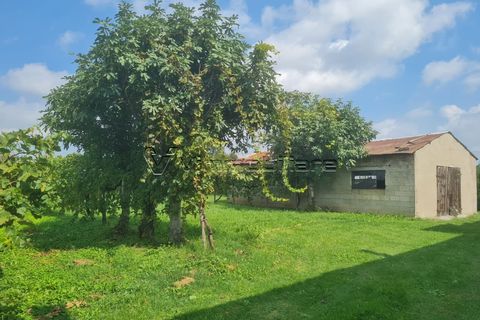 Villa i Albettone, Vicenza, Albettone - € 55.000 | Ref: TF5 - foto 7