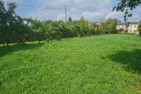 Villa i Albettone, Vicenza, Albettone - € 55.000 | Ref: TF5 - foto 12