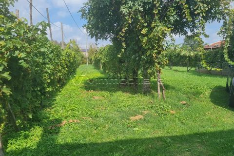 Villa i Albettone, Vicenza, Albettone - € 55.000 | Ref: TF5 - foto 13