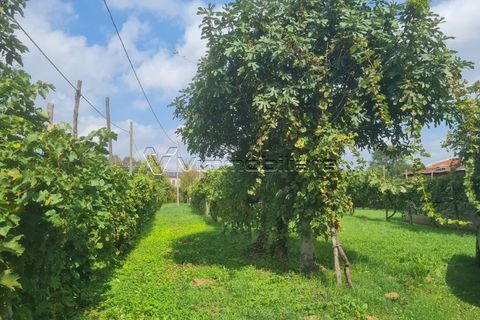 Villa i Albettone, Vicenza, Albettone - € 55.000 | Ref: TF5 - foto 14