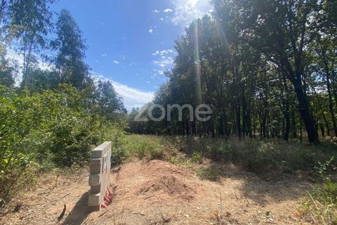 Villa i Barro, Aveiro, Barro - € 62.500 | Ref: ZMPT580408 - foto 4