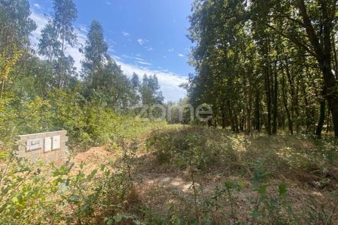 Villa i Barro, Aveiro, Barro - € 62.500 | Ref: ZMPT580408 - foto 3