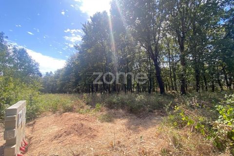 Villa i Barro, Aveiro, Barro - € 62.500 | Ref: ZMPT580408 - foto 5