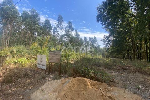 Villa i Barro, Aveiro, Barro - € 62.500 | Ref: ZMPT580408 - foto 6
