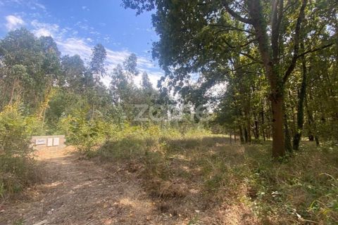 Villa i Barro, Aveiro, Barro - € 62.500 | Ref: ZMPT580408 - foto 7