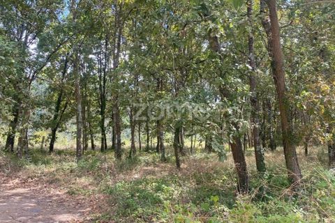 Villa i Barro, Aveiro, Barro - € 62.500 | Ref: ZMPT580408 - foto 8