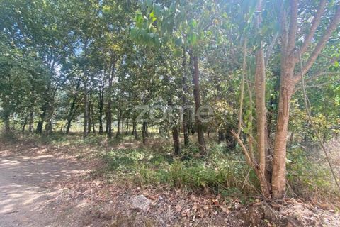 Villa i Barro, Aveiro, Barro - € 62.500 | Ref: ZMPT580408 - foto 9