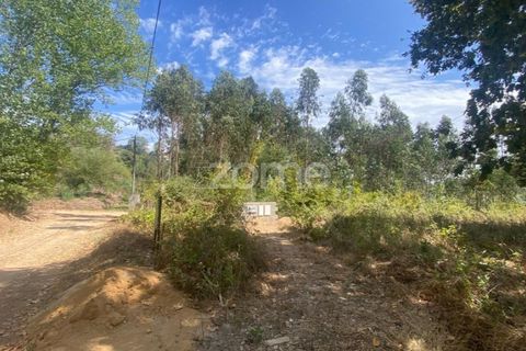 Villa i Barro, Aveiro, Barro - € 62.500 | Ref: ZMPT580408 - foto 2