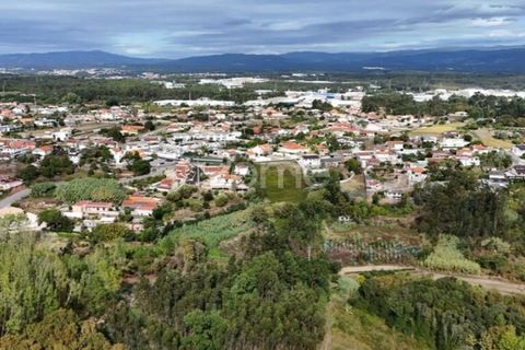 Villa i Barro, Aveiro, Barro - € 62.500 | Ref: ZMPT580408 - foto 14