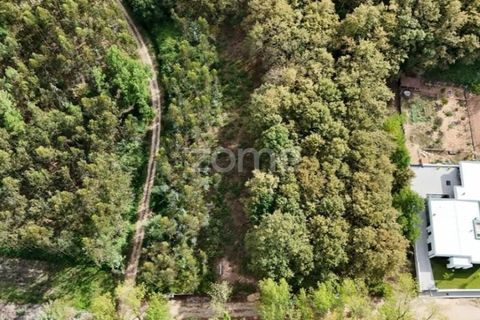 Villa i Barro, Aveiro, Barro - € 62.500 | Ref: ZMPT580408 - foto 16