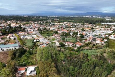 Villa i Barro, Aveiro, Barro - € 62.500 | Ref: ZMPT580408 - foto 17