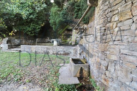 Farm i Lousa, Coimbra, Lousa - € 210.000 | Ref: 18-19/2021 - foto 2