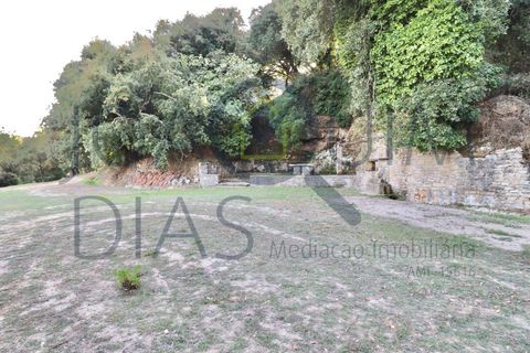 Farm i Lousa, Coimbra, Lousa - € 210.000 | Ref: 18-19/2021 - foto 4