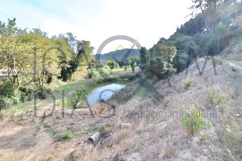 Farm i Lousa, Coimbra, Lousa - € 210.000 | Ref: 18-19/2021 - foto 5