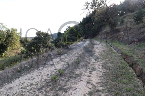 Farm i Lousa, Coimbra, Lousa - € 210.000 | Ref: 18-19/2021 - foto 6