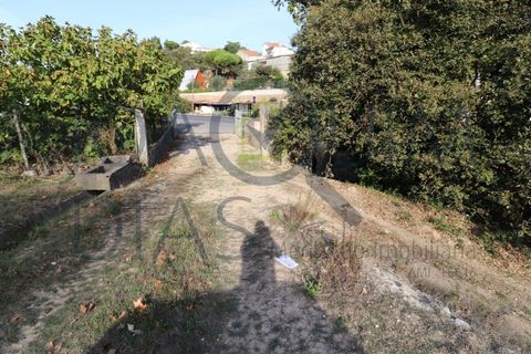 Farm i Lousa, Coimbra, Lousa - € 210.000 | Ref: 18-19/2021 - foto 7