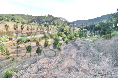 Farm i Lousa, Coimbra, Lousa - € 210.000 | Ref: 18-19/2021 - foto 8