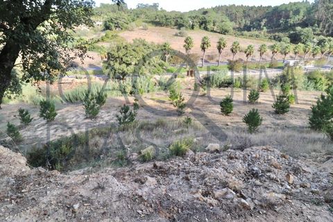 Farm i Lousa, Coimbra, Lousa - € 210.000 | Ref: 18-19/2021 - foto 9