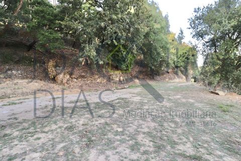 Farm i Lousa, Coimbra, Lousa - € 210.000 | Ref: 18-19/2021 - foto 10