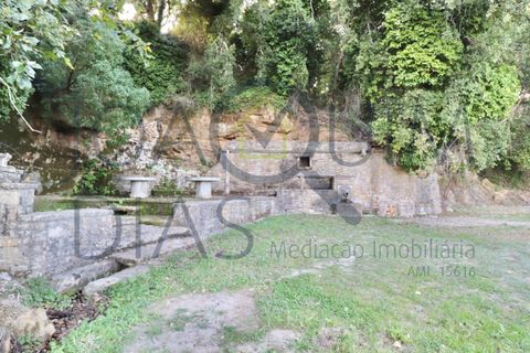 Farm i Lousa, Coimbra, Lousa - € 210.000 | Ref: 18-19/2021 - foto 11
