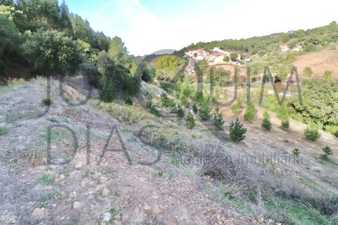Farm i Lousa, Coimbra, Lousa - € 210.000 | Ref: 18-19/2021 - foto 12