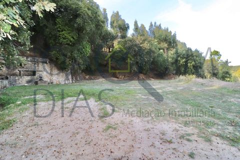 Farm i Lousa, Coimbra, Lousa - € 210.000 | Ref: 18-19/2021 - foto 13