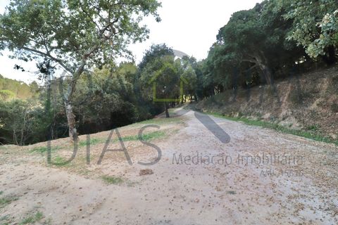 Farm i Lousa, Coimbra, Lousa - € 210.000 | Ref: 18-19/2021 - foto 14
