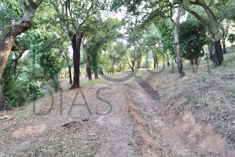 Farm i Lousa, Coimbra, Lousa - € 210.000 | Ref: 18-19/2021 - foto 15