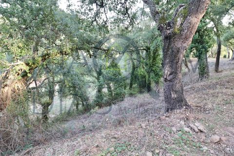 Farm i Lousa, Coimbra, Lousa - € 210.000 | Ref: 18-19/2021 - foto 16