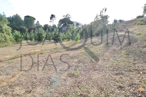Farm i Lousa, Coimbra, Lousa - € 210.000 | Ref: 18-19/2021 - foto 18