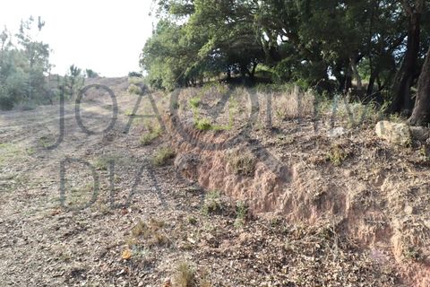 Farm i Lousa, Coimbra, Lousa - € 210.000 | Ref: 18-19/2021 - foto 19