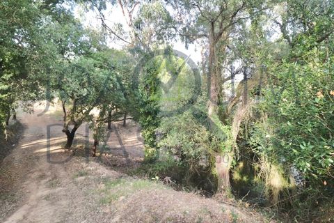 Farm i Lousa, Coimbra, Lousa - € 210.000 | Ref: 18-19/2021 - foto 20