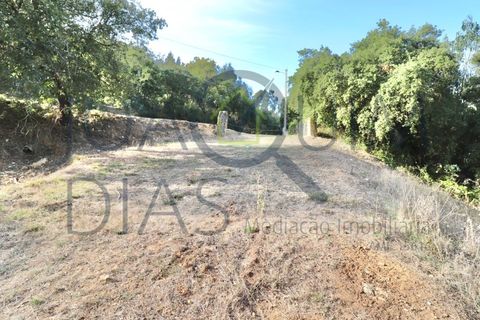 Farm i Lousa, Coimbra, Lousa - € 210.000 | Ref: 18-19/2021 - foto 21